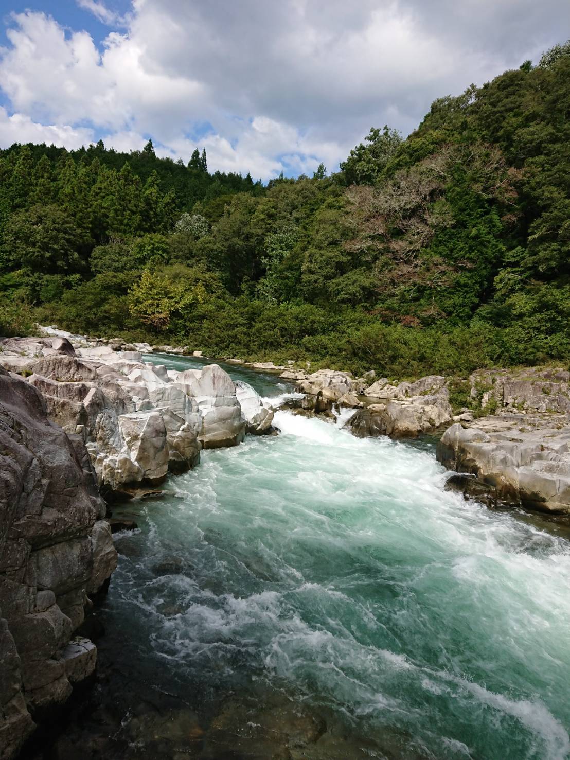 付知川・清流