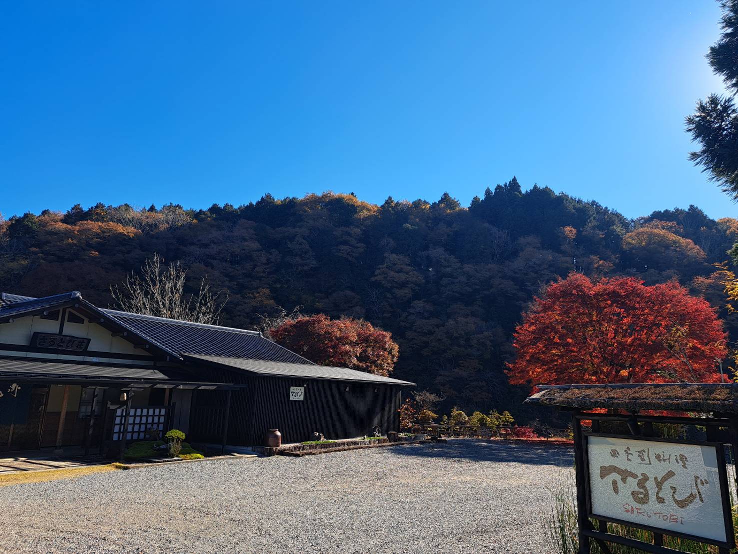 さるとび外観・秋の紅葉